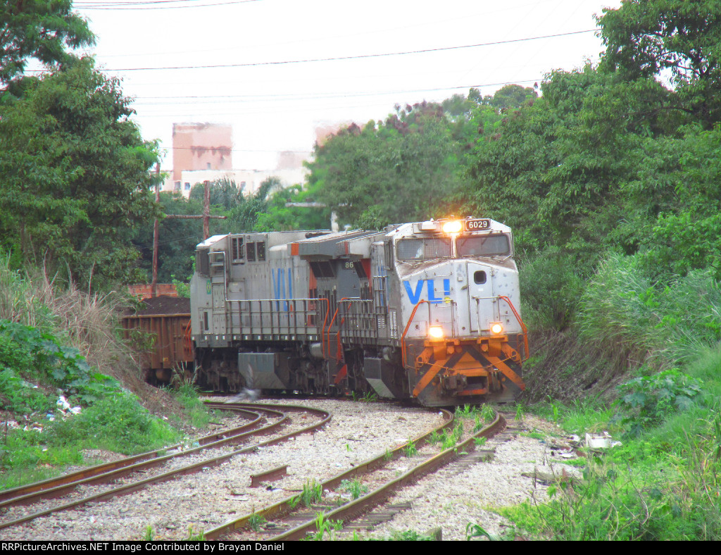 VLI 6029